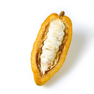 Üst Manzara Taze Sarı kakao meyvesi yarım dilimlenmiş beyaz arka planda izole