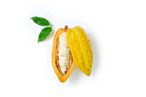 Vista Superior Frutas Frescas Cacao Con Hojas Verdes Medio Cortadas — Foto de Stock