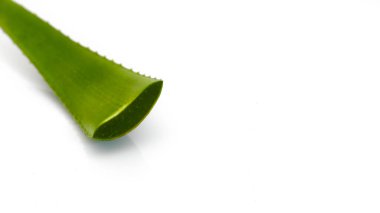 Taze yeşil Aloe vera beyaz arka planda izole edilmiş dilimlerle daldan ayrılır. Üst açı cilt bakımı için bitki örtüsünü kapatın