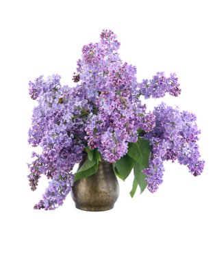 buket lilac beyaz bir arka plan üzerinde izole bir bakır sürahi içinde