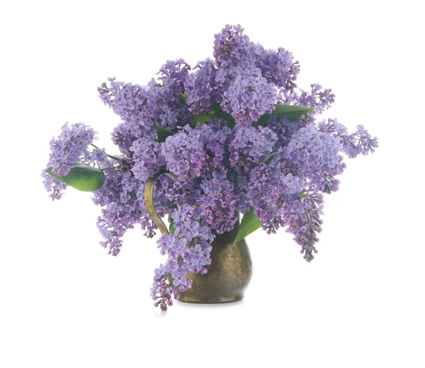 Bouquet of lilac in a copper jug, isolated on a white background — Stock Photo, Image