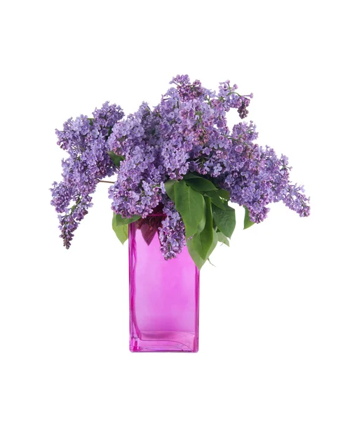Bouquet of lilac in a vase isolated on a white background — Stock Photo, Image