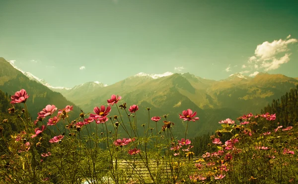 喜马拉雅山 — 图库照片