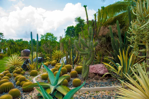 Garden — Stock Photo, Image