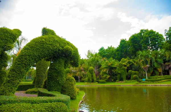 Giardino — Foto Stock