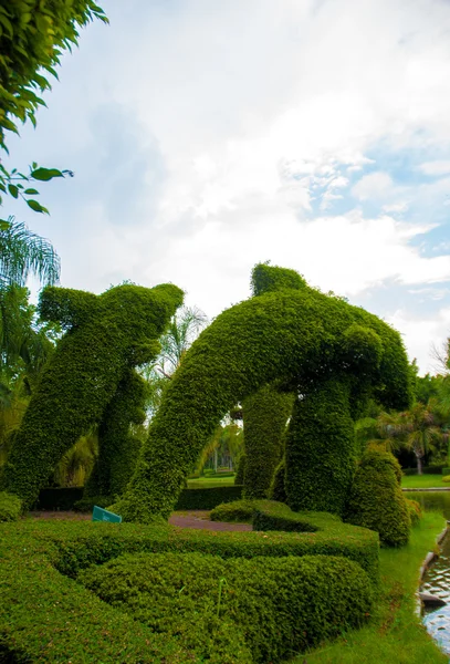 Giardino — Foto Stock