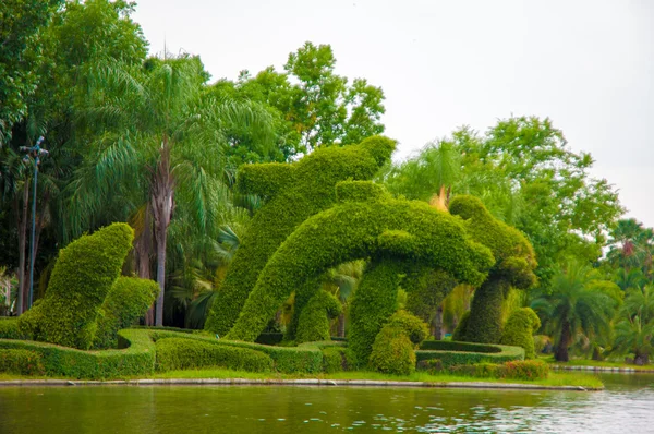 Giardino — Foto Stock