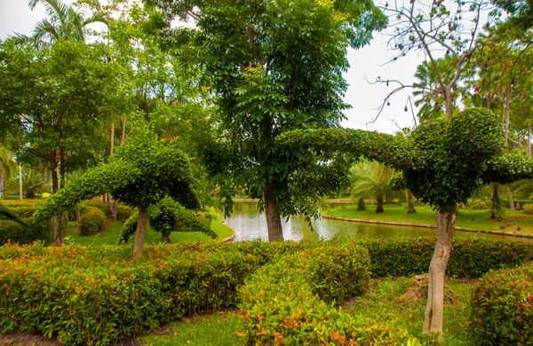 Garden — Stock Photo, Image