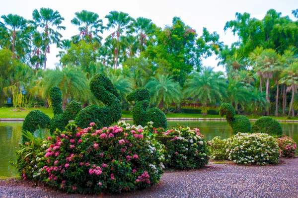 Garden — Stock Photo, Image