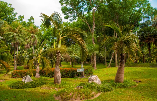 Garden — Stock Photo, Image