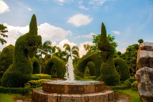 Jardín —  Fotos de Stock