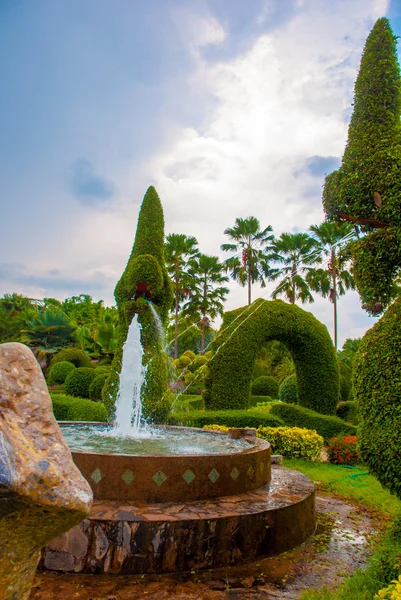 Garden — Stock Photo, Image