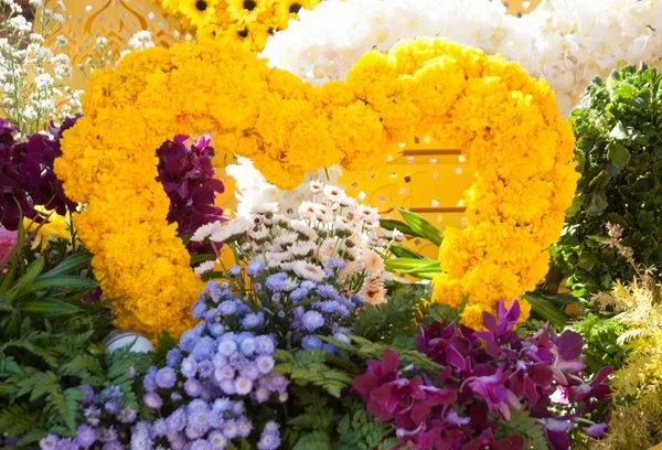 Orquídeas — Foto de Stock