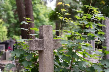 Doğu Avrupa mezarlığı, mumlar ve çiçekler