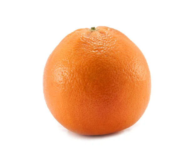 Rijp oranje — Stockfoto
