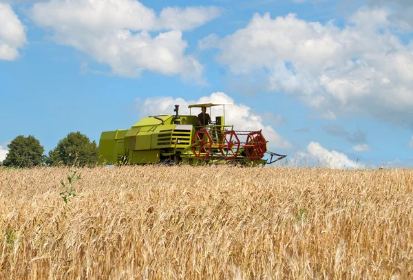 Combine harvesting — Stock Photo, Image