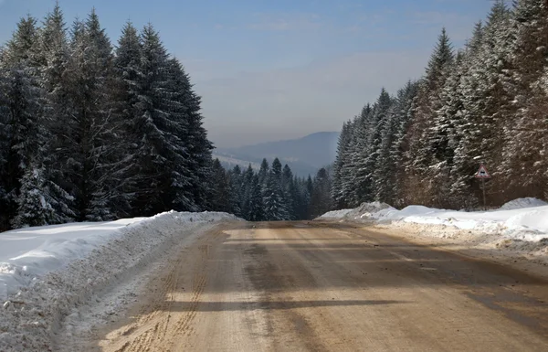 Kış ormanlarında yol