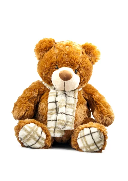 Teddy bear toy — Stock Photo, Image