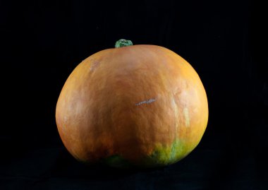 Cadılar Bayramı Balkabağı