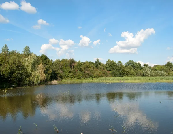 Pequeno lago — Fotografia de Stock