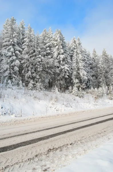Estrada é neve-limite — Fotografia de Stock