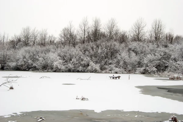 Lacul de iarnă înghețat — Fotografie, imagine de stoc