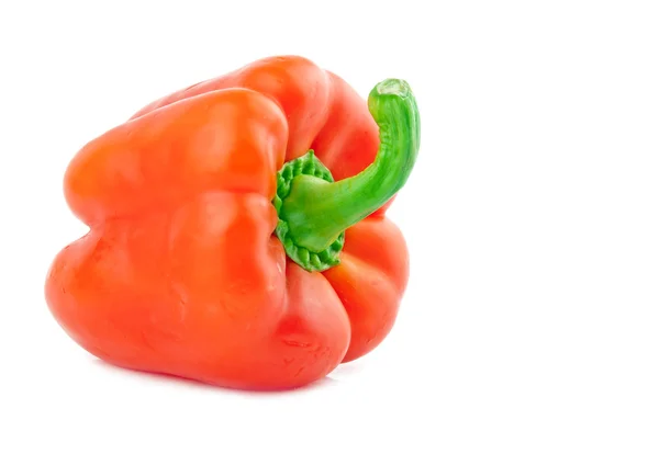 Bright red pepper — Stock Photo, Image