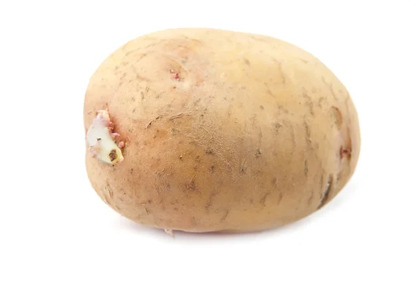 Potato is isolated — Stock Photo, Image