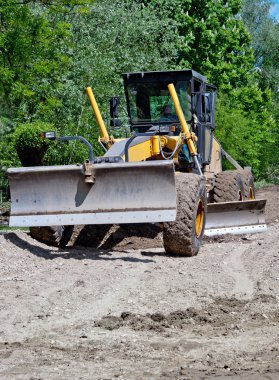 Sarı sınıf öğrencisi