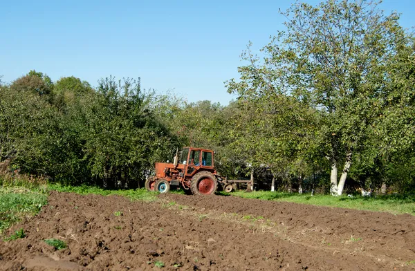 Plow in field — Stock Photo, Image