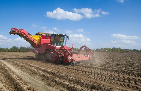 Aardappel Harvester Machine Het Veld — Stockfoto