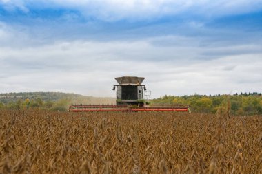 Soya tarım tarlasında hasat işindeki hasatçıyı birleştirin
