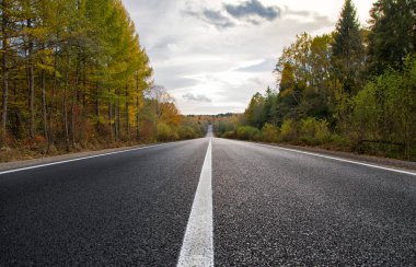 Sonbahar ormanında yol. Güzel dağ yolu, turuncu yapraklı ağaçlar. Seyahat