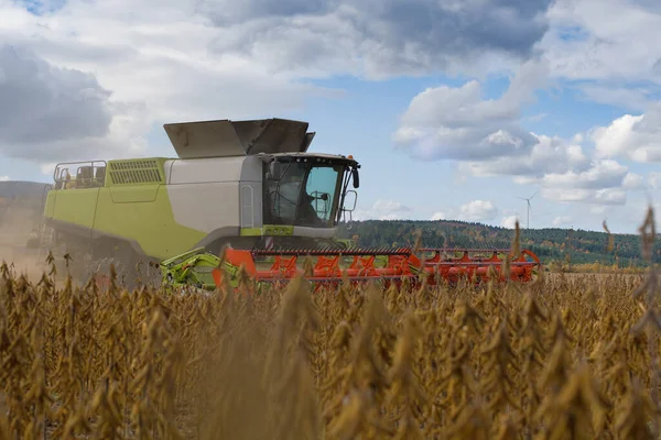 Combina Mietitrebbia Lavoro Nel Campo Agricolo Della Soia — Foto Stock