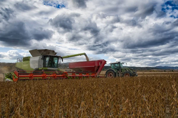 Combine Harvester Work Soybean Agricultural Farm Field — Stock Photo, Image
