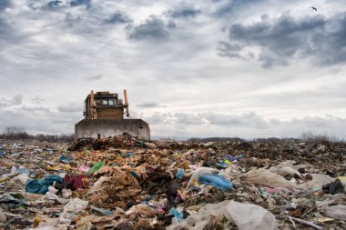 Buldozer gökyüzünde kuşlarla dolu bir alanda çalışıyor. Gün batımı