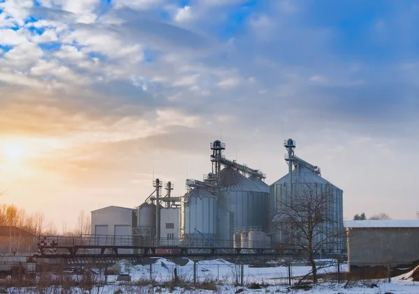 Ascensore Stoccaggio Grano Sera Foto Inverno Tramonto — Foto Stock