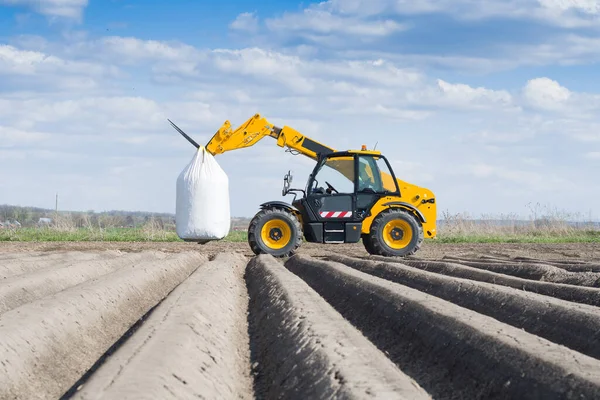 Aardappelen Planten Lente Een Close — Stockfoto