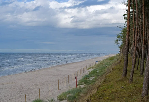 Bancs Escarpés Pinèdes Sur Plage Littoral Mer Baltique Pologne — Photo