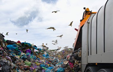 Arazi dolgusu çevreyi kirletir. Çöp kamyonu. Kuşlar çöp sahasında uçar