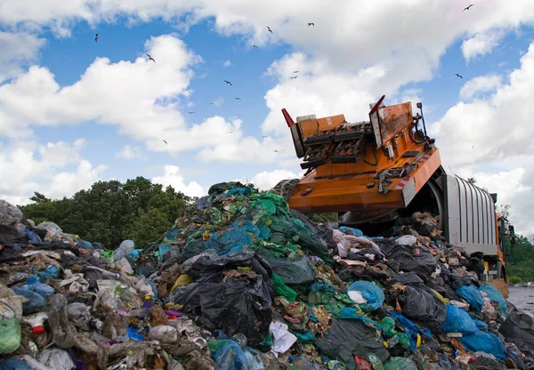 Deponering Förorenar Miljön Sopbil Fåglar Flyger Över Deponi — Stockfoto