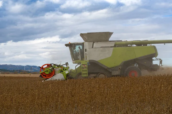 Combina Mietitrebbia Lavoro Nel Campo Agricolo Della Soia — Foto Stock