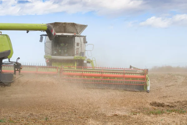 Combina Mietitrebbia Lavoro Nel Campo Agricolo Della Soia — Foto Stock