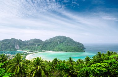 phi phi