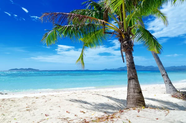 Spiaggia — Foto Stock