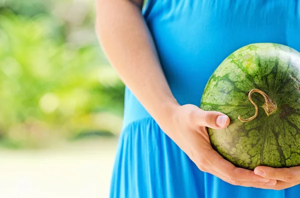 Garden — Stock Photo, Image