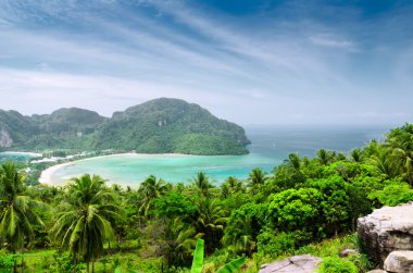 phi phi