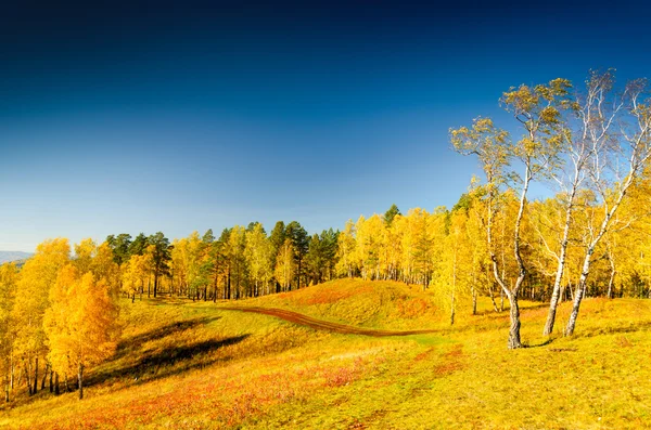 Herbst — Stockfoto