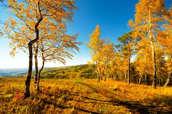 Höst — Stockfoto