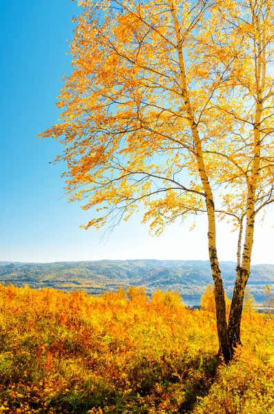 Otoño — Foto de Stock